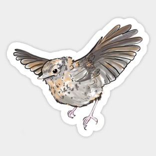 Robin Sticker